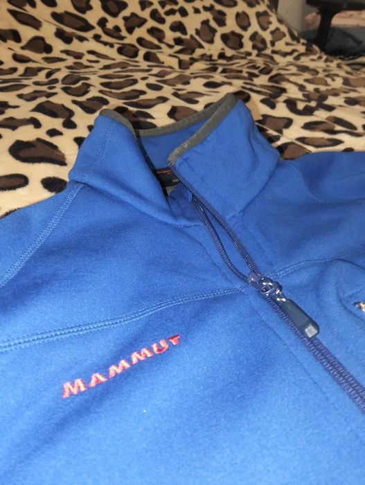 Softshell Mammut