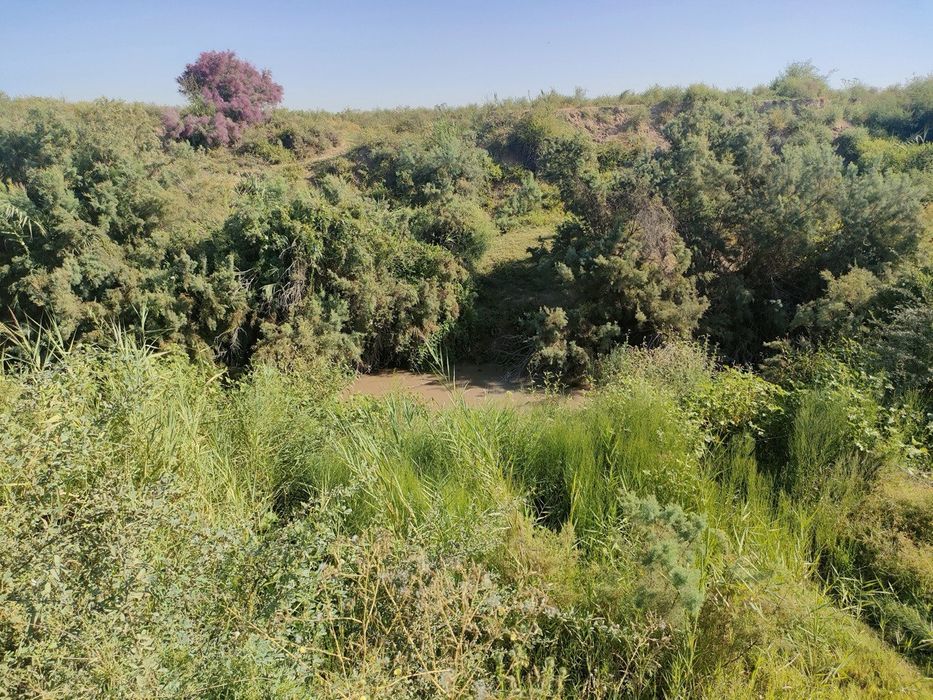 Chinozda  yangi yer uchadtka sotiladi