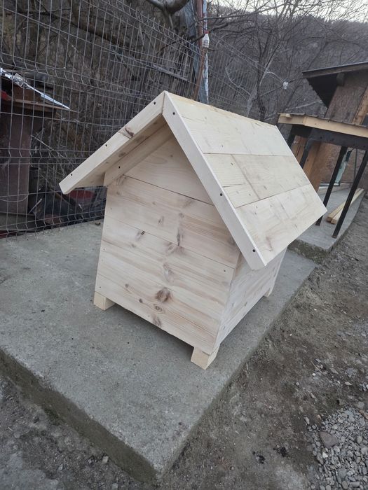 Cotețe câini la comandă