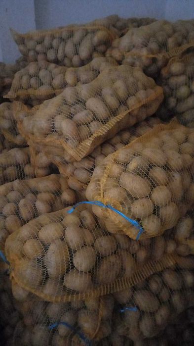 Продавам картоф Сорая