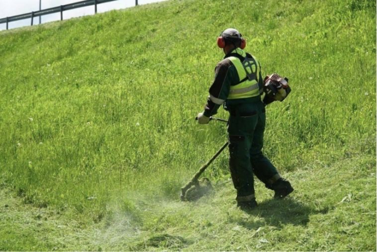 Шоп ору, Газон ору, Шөп ору