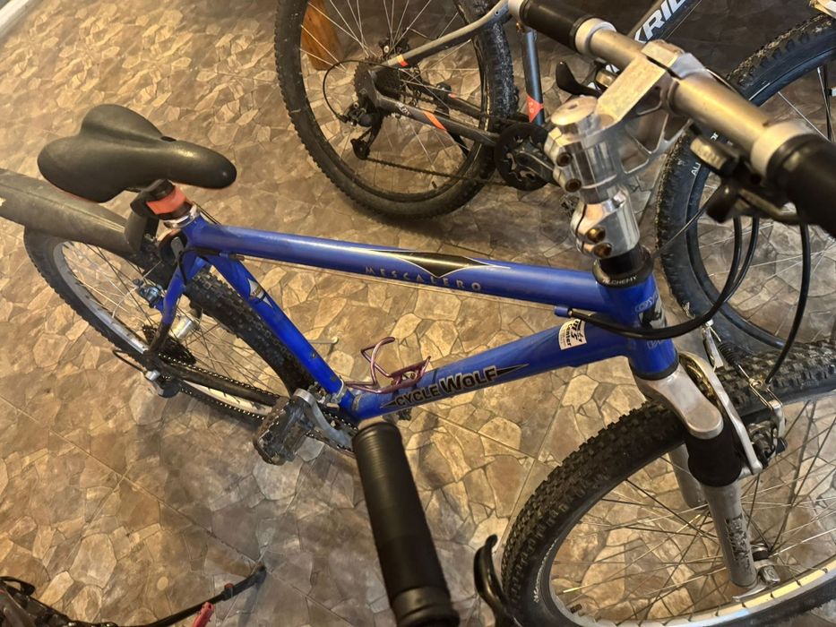 Bicicleta cycle Wolf
