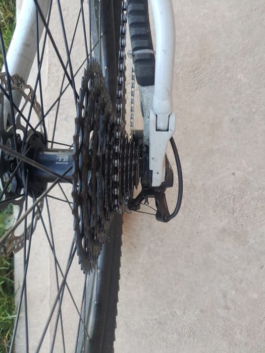 Marin rift zone 2023