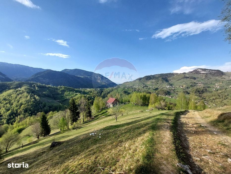 Teren 1,798mp Pestera / acces din Strada Principala
