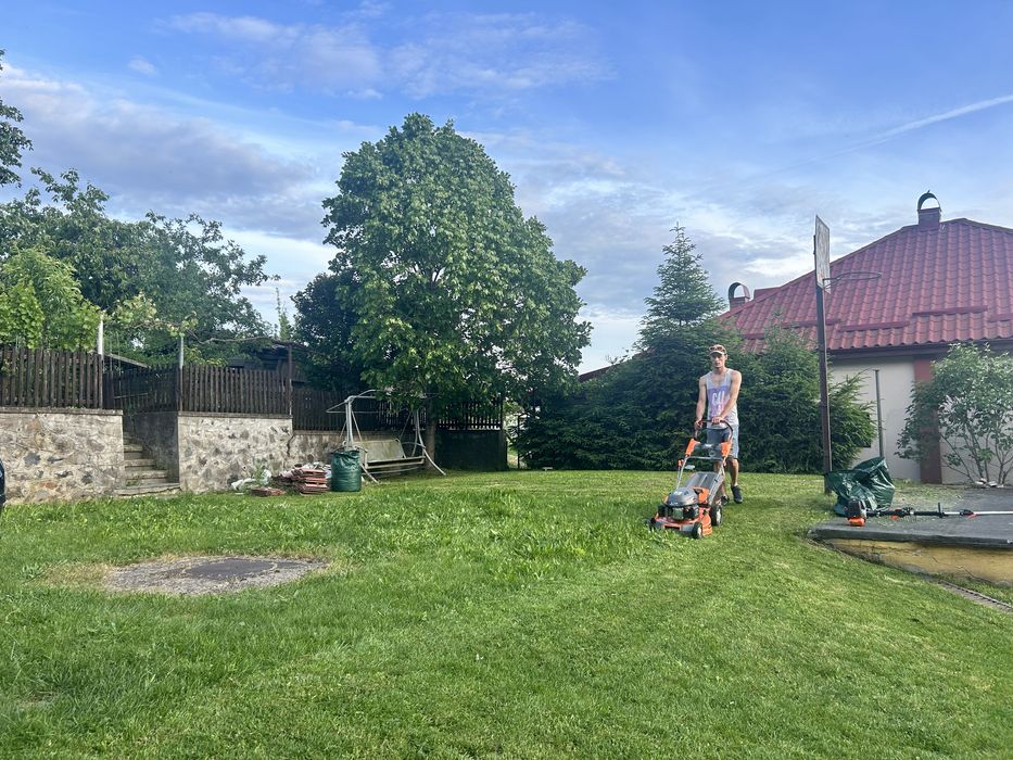 Servicii spații verzi – Baia Mare și împrejurimi