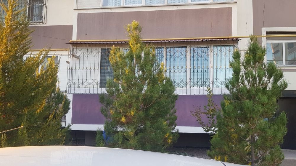 Утепление балконов и фасадов. Покраска фасадов. Мойка окон