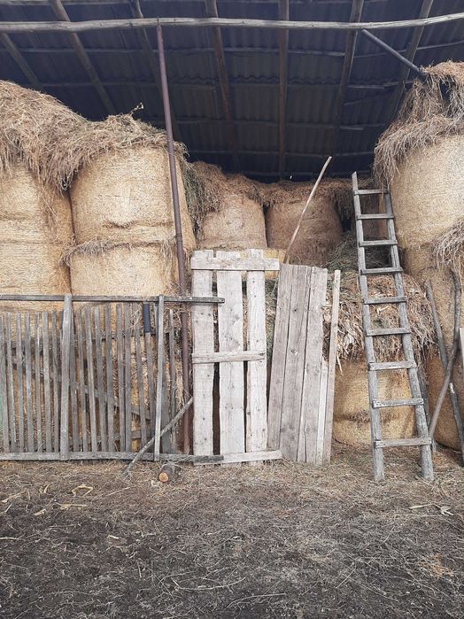 Baloți din lucernă și fân