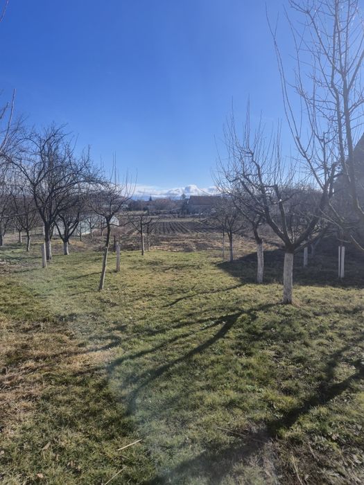 Proprietar Casa săsească Bod Sat,2200mp,ideală 2 familii - investiție