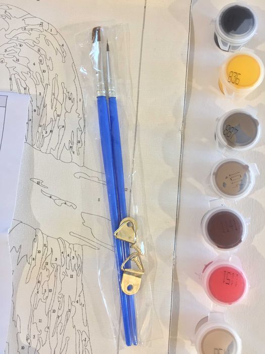 Комплект за рисуване по номера 20x30cm - портрет