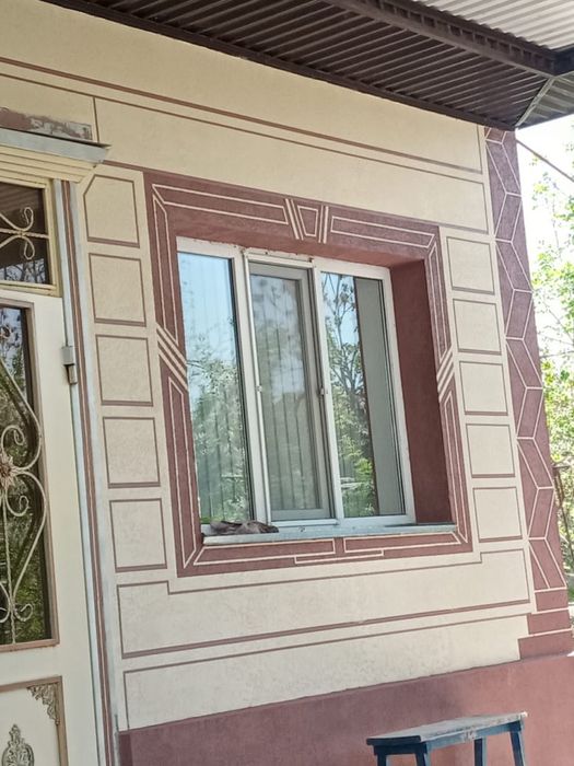 житки  травинтин