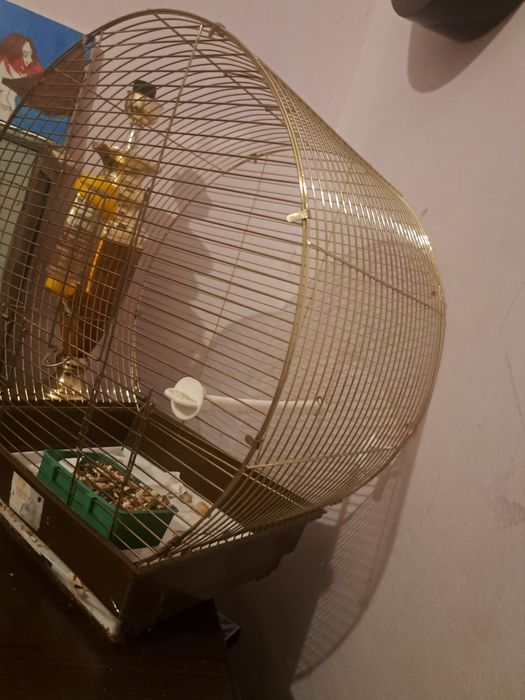 Продаётся Клетка с крысой
