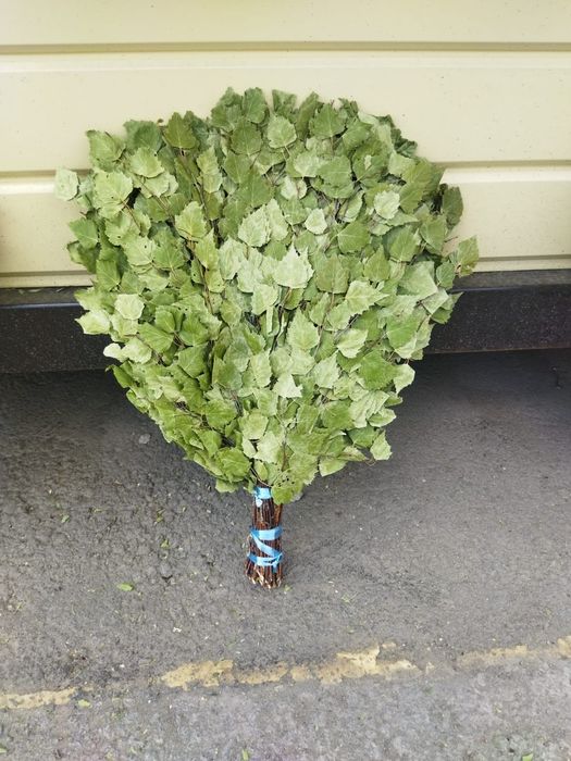 Веники банные, от 1500тг