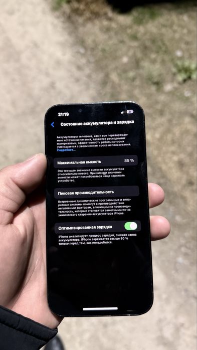 13 про 256 память идеальный