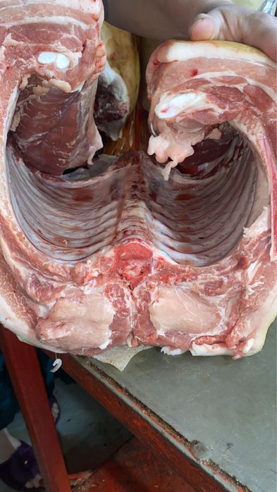 Мясо свинина тушами