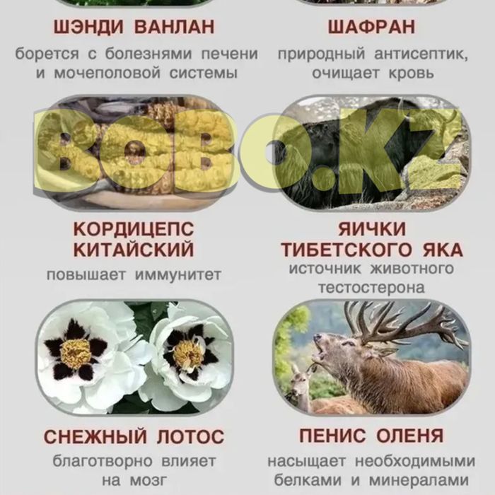 фиолетовый катализатор