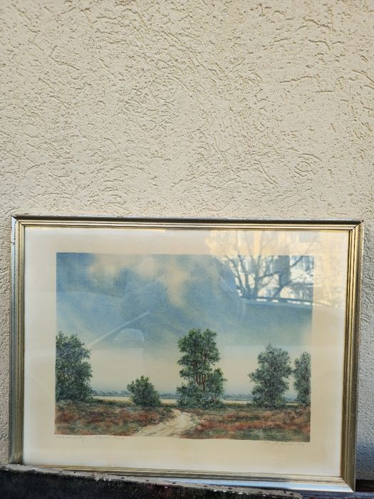 Tablouri vechi pe pânză și carton