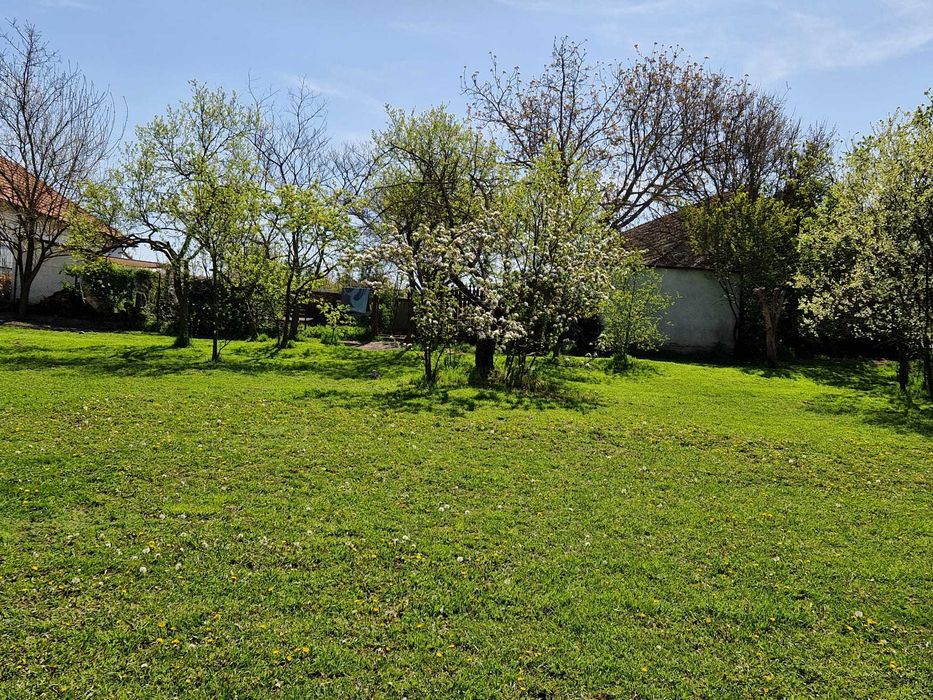 Casa cu teren de 2000 mp Vinga