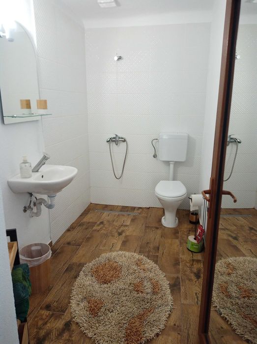 Închiriere casa particulara
