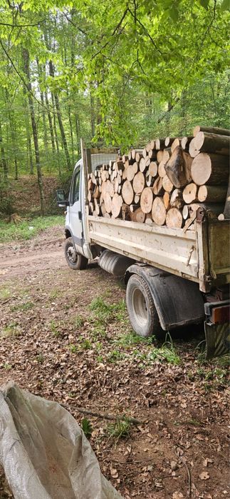 Lemne de foc fag, carpen!