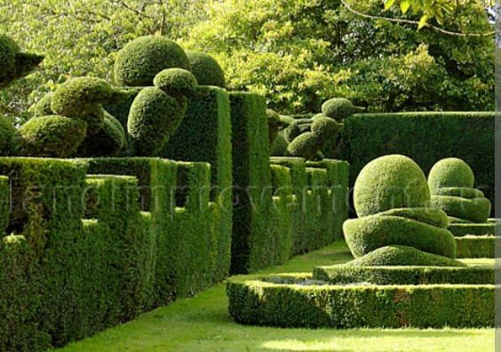 Топиарные фигуры