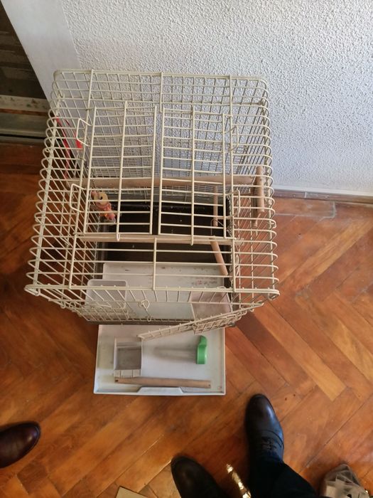 Vând colivie păsări cu accesorii