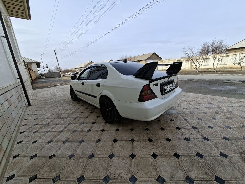 Девоо магнус сотилади