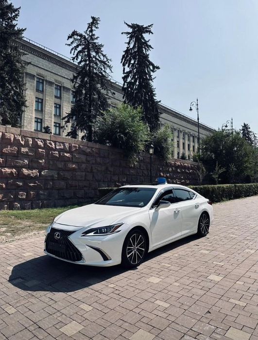 Трезвый водитель