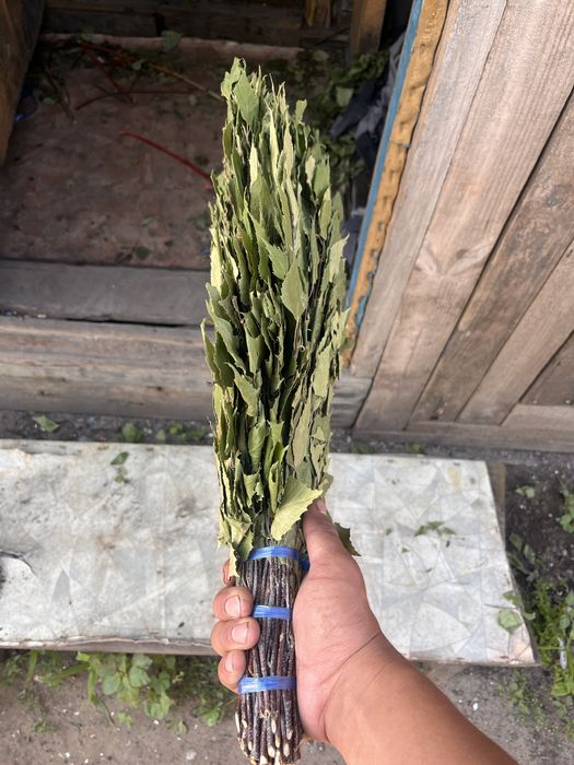 Продам березовые веники