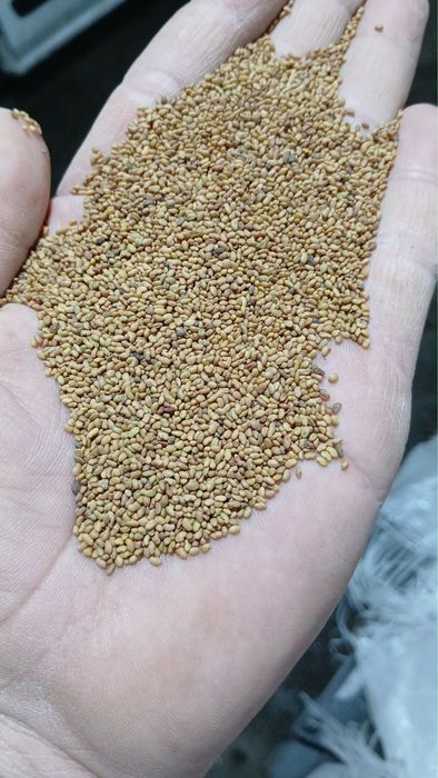 Vand samanta lucerna