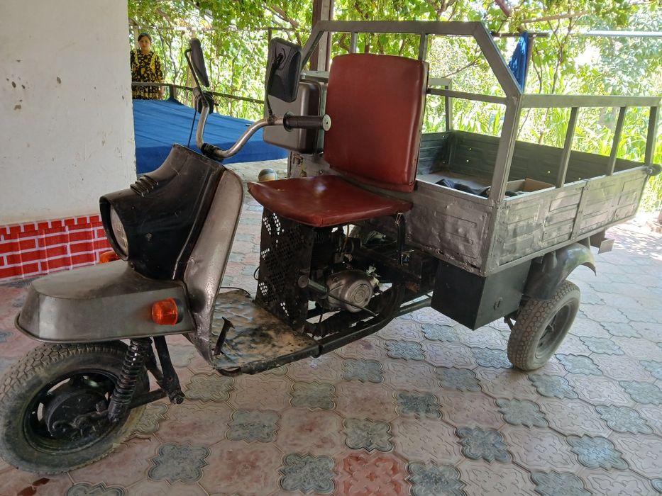 Муравей в хорошем состоянии