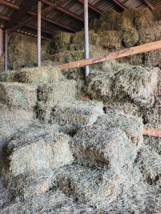Сено и люцерина за животни.