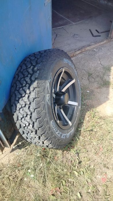 Шины Maxxis Worm DRAIVE