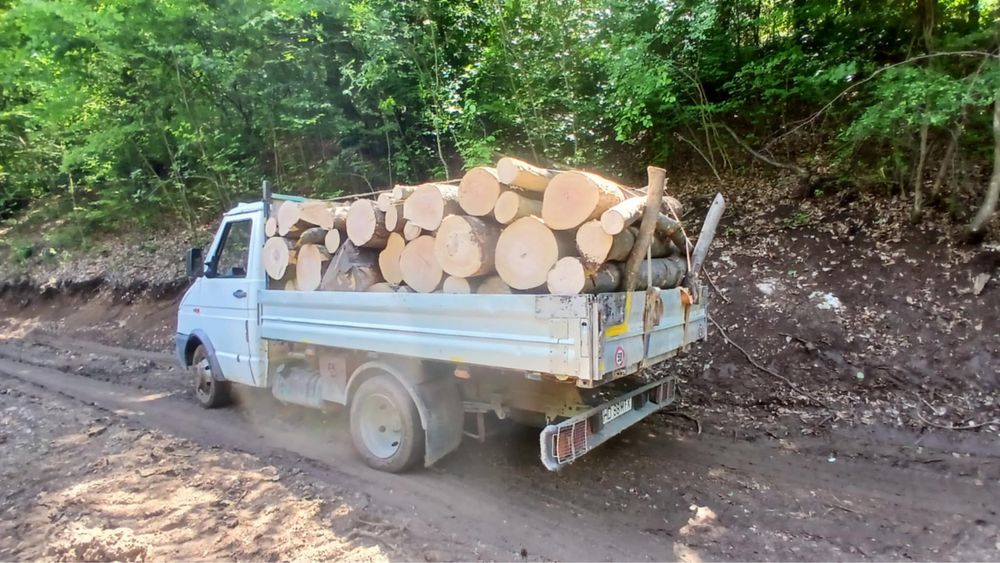 Lemn de foc Fag ,Stejar ! Cele mai bune preturi!! Tot judetul !!