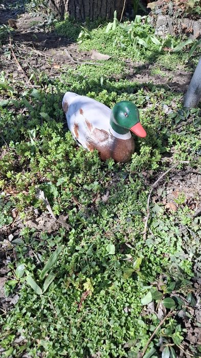 Градински фигури