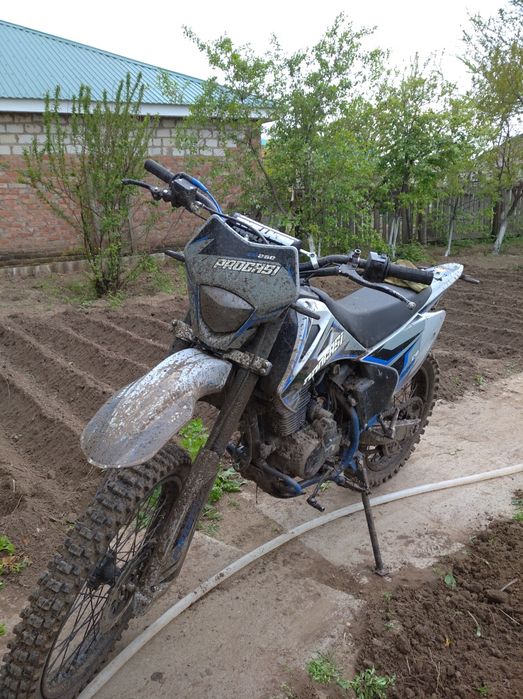 Продам progasi palma 250