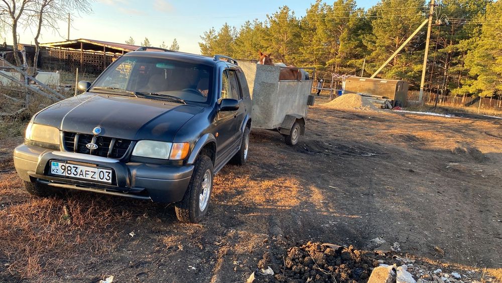 Варианты обмена на лошадей