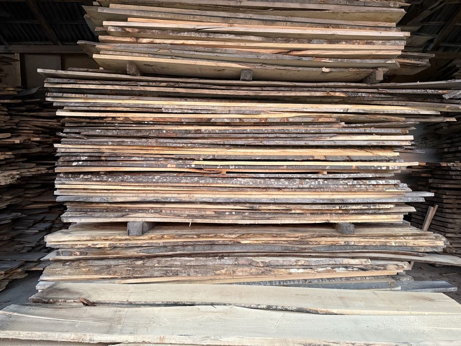 Cherestea fag uscata 8-12% , 25mm grosime