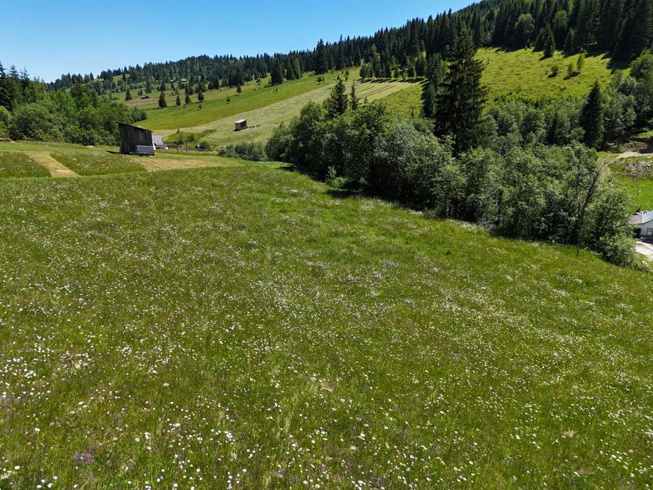 Teren de vanzare 2000 mp intravilan in Bucovina comuna Breaza