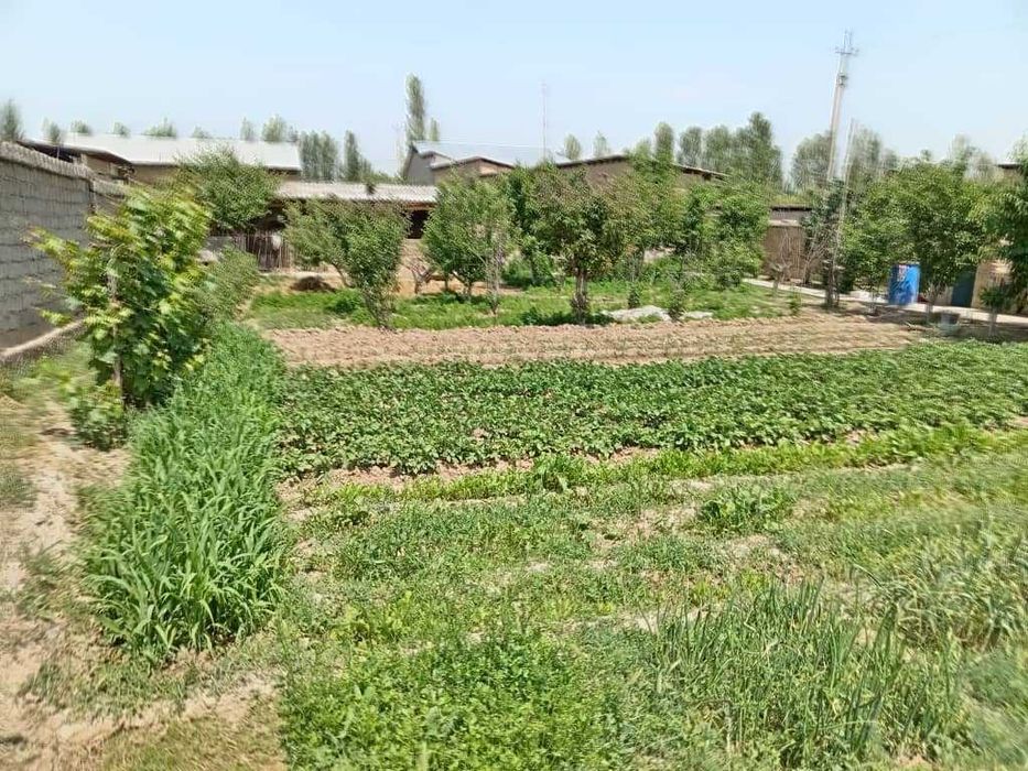 Уй сотила ховли ер