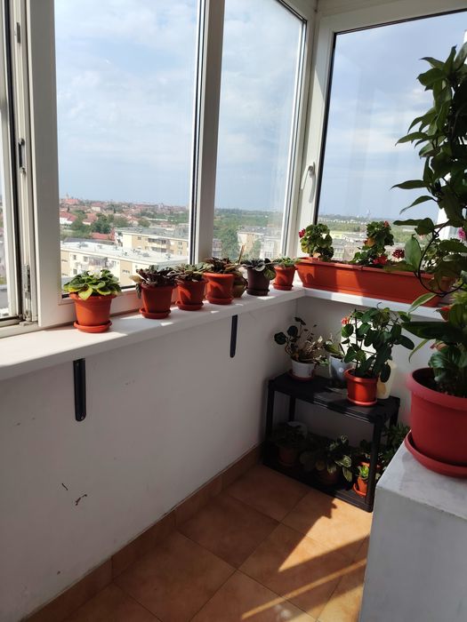 Apartament cu 3 camere