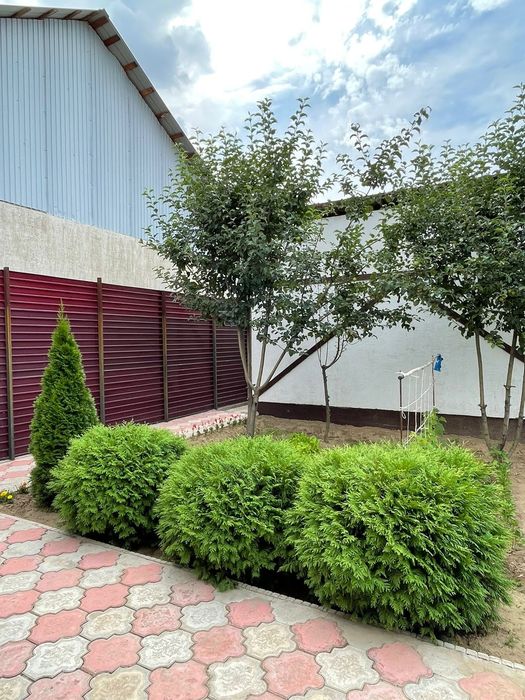 Дом продолжается 2 этажный!