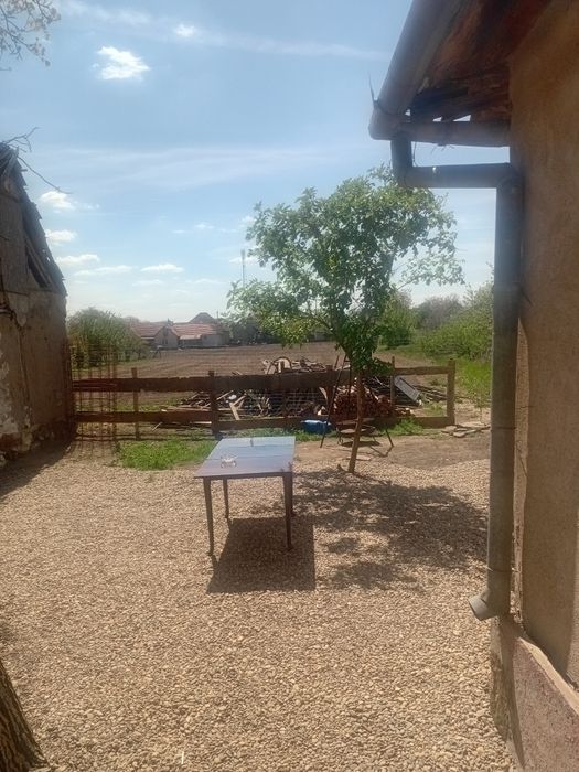 Casa de vanzare cermei