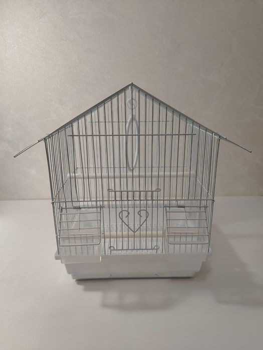 Попугаи. Волнистые