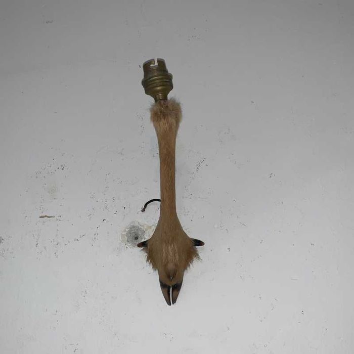 Set aplica de perete din copita de gazela