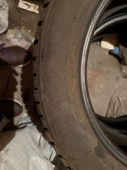 Пролам шины нокиан