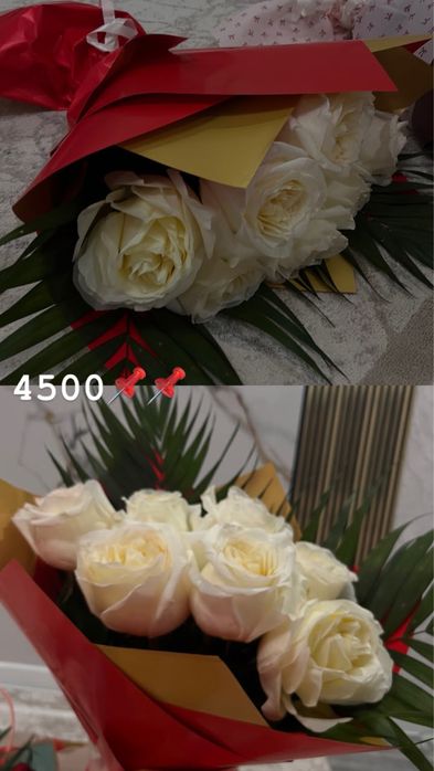 срочно продам цветы