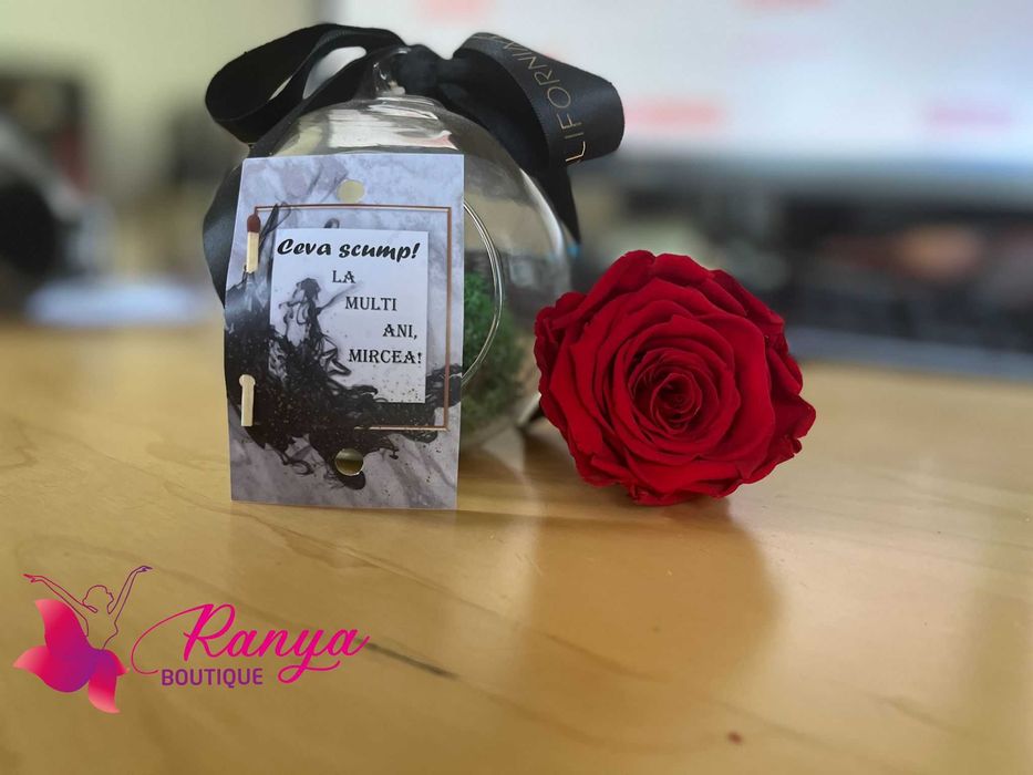 Artificii "Aprinde-ma la tort!"