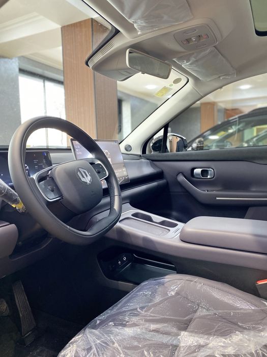 LeapMotor C10 Hybrid (REEV)