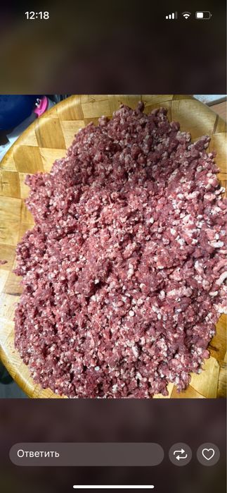 Шужык казы сатылады