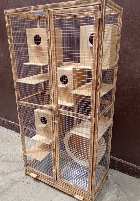 Вольер для белки , белок для размножения